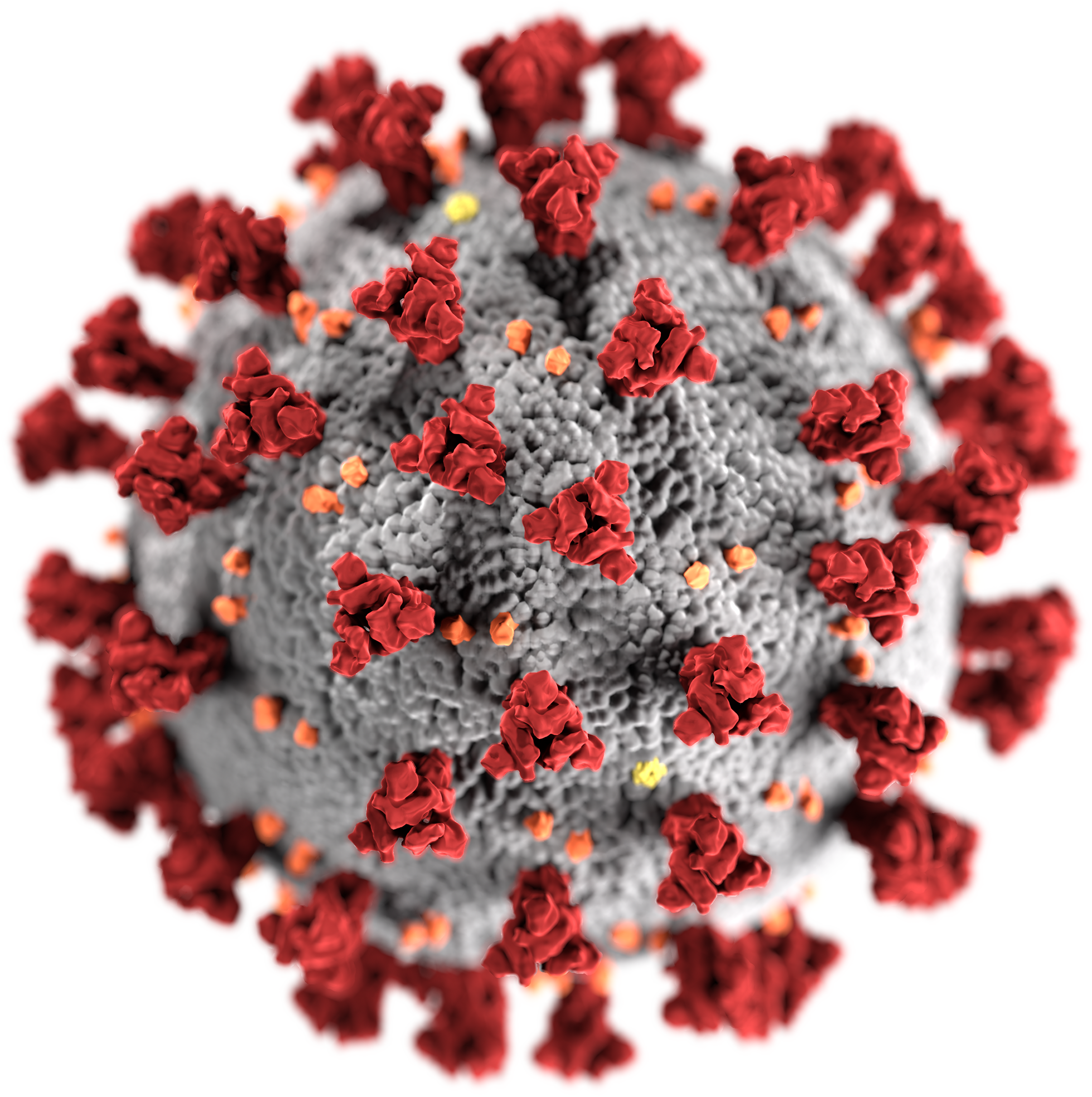 corona virus tracheostomy